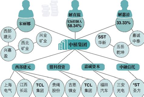 中植系的中央靠山是谁